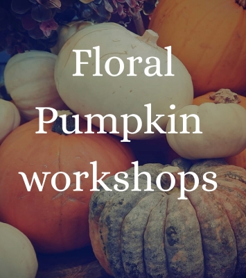 Wednesday 22nd October