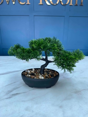 Bonzai Tree