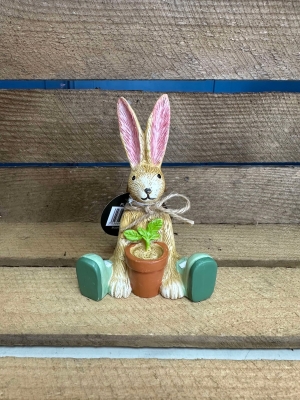Plant Bunny