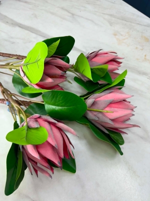 Protea stem