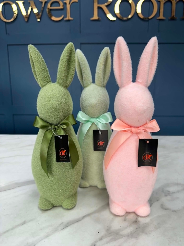 Rabbit