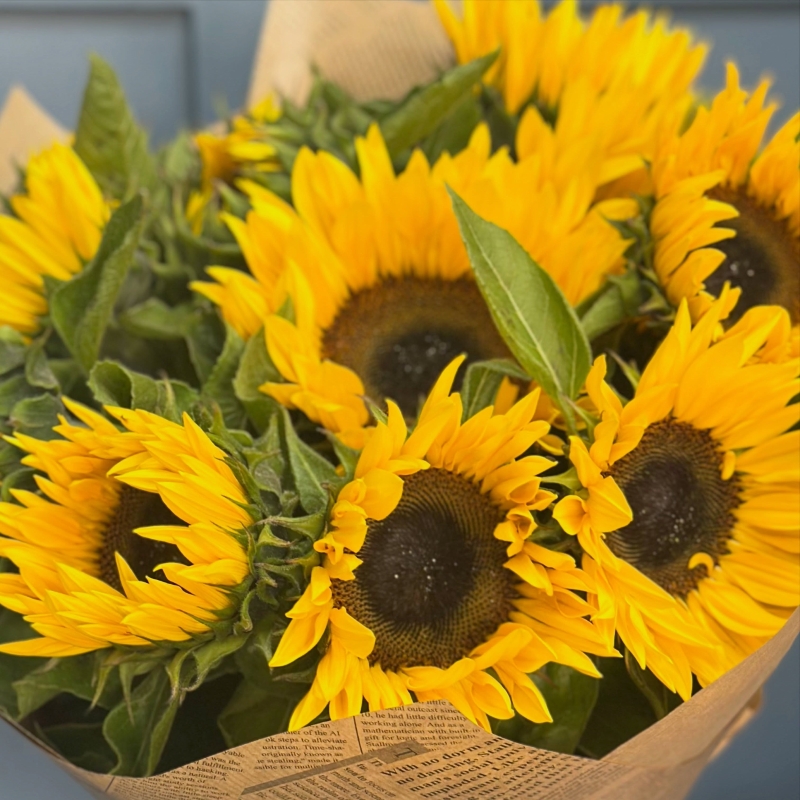 Sunflowers