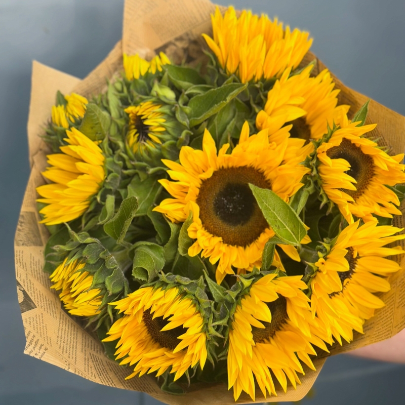 Sunflowers