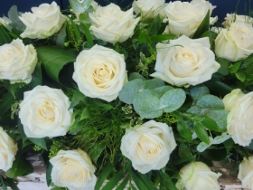 Rose Coffin Spray