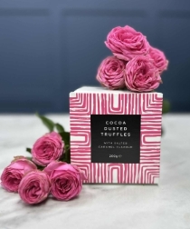 Cocoa Dusted Truffles