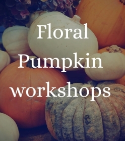 Wednesday 22nd October