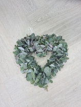 Eucalyptus Heart