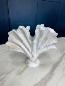 Large Coral