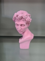 Pink David Bust