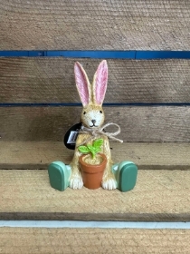 Plant Bunny