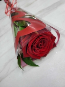 Single Red Rose